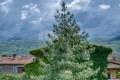 Продава 4-СТАЕН, гр. София, Павлово, снимка 6