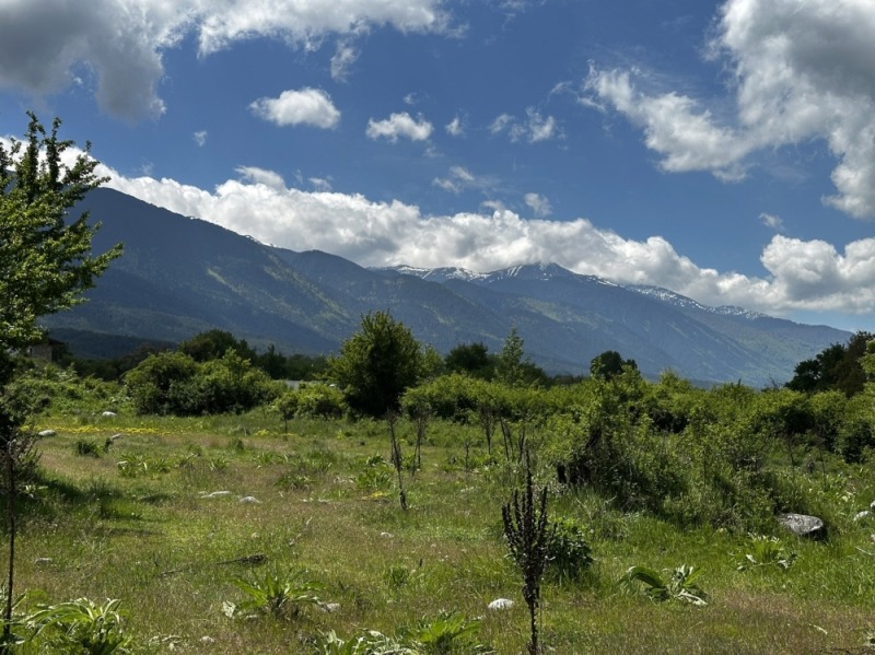 À vendre  Parcelle région Blagoevgrad , Bansko , 1222 m² | 75200572 - image [8]