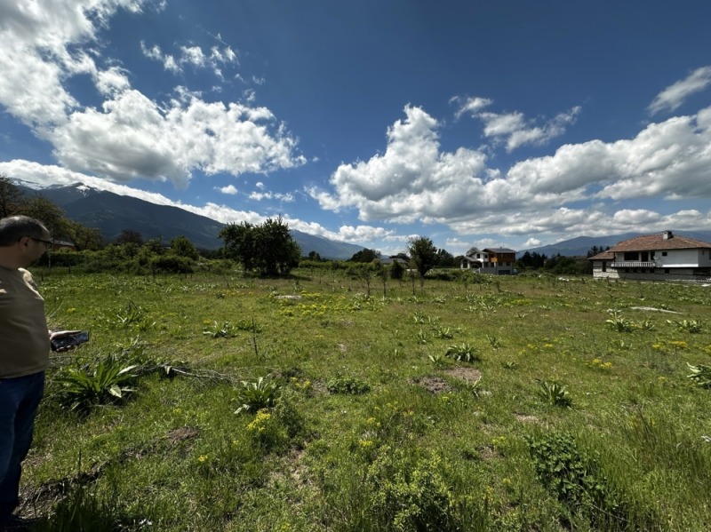 À vendre  Parcelle région Blagoevgrad , Bansko , 1222 m² | 75200572 - image [4]