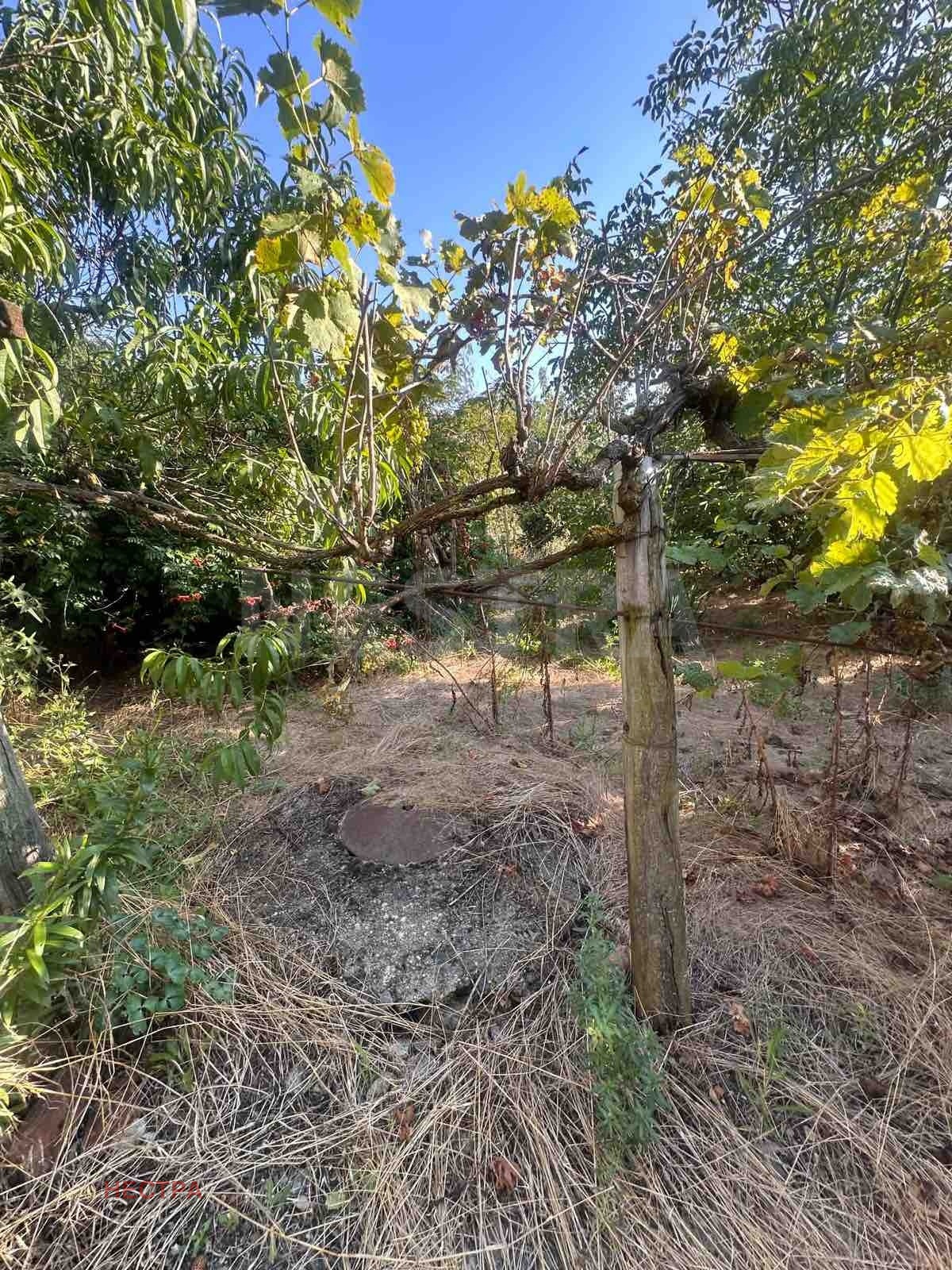 Продава КЪЩА, с. Роза, област Ямбол, снимка 13 - Къщи - 56302265