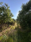 Продава КЪЩА, с. Роза, област Ямбол, снимка 12