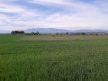 Продава ПАРЦЕЛ, гр. София, с. Подгумер, снимка 5