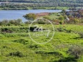 Продава ПАРЦЕЛ, с. Страшимирово, област Варна, снимка 2