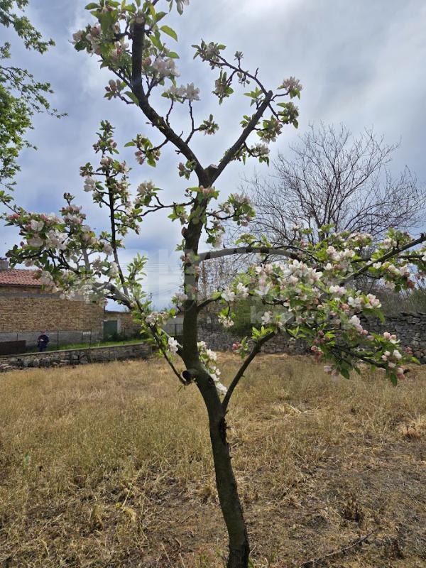 ������� ���� | Imot.bg � ����������� 10
