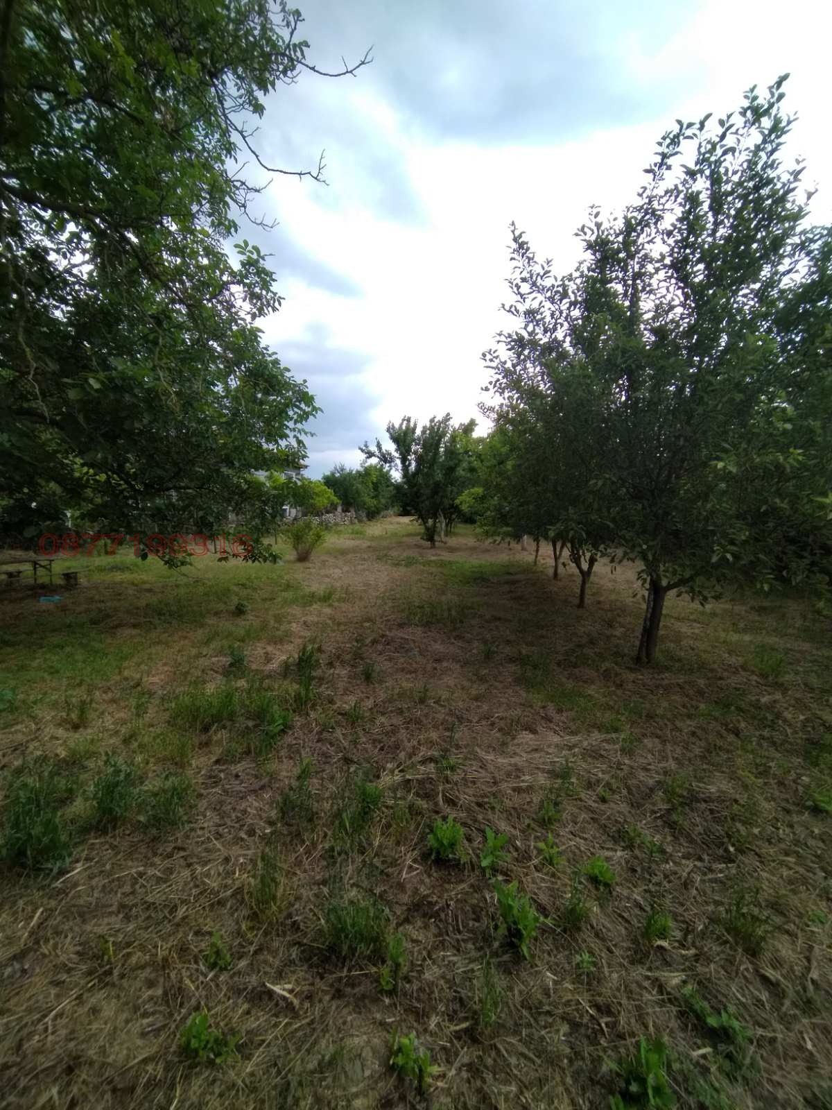 ������� ������ | Imot.bg � ����������� 8