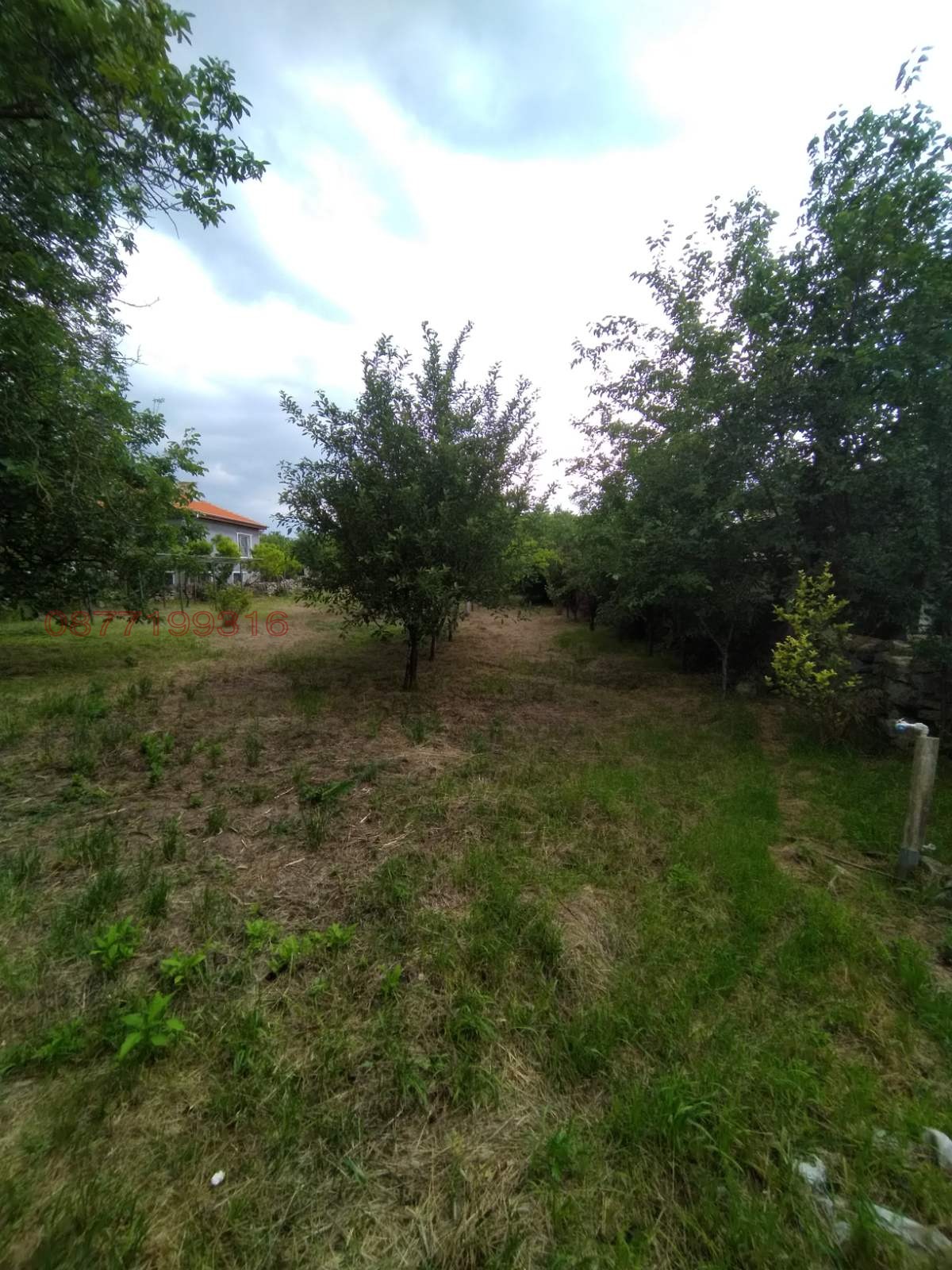 ������� ������ | Imot.bg � ����������� 5