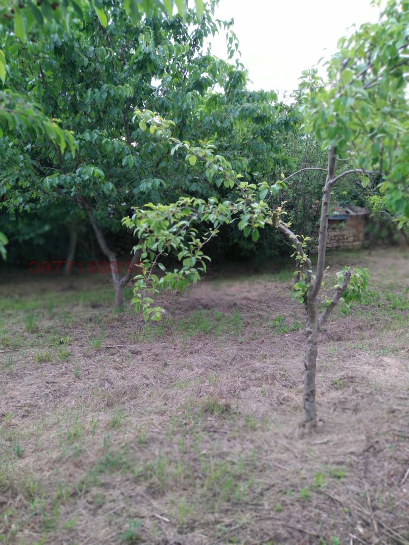 Продава ПАРЦЕЛ, с. Ветрино, област Варна, снимка 3 - Парцели - 53480774