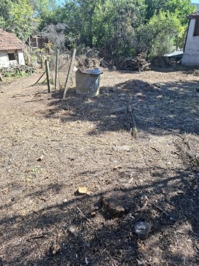 ������� ������ | Imot.bg � ����� ������ 5