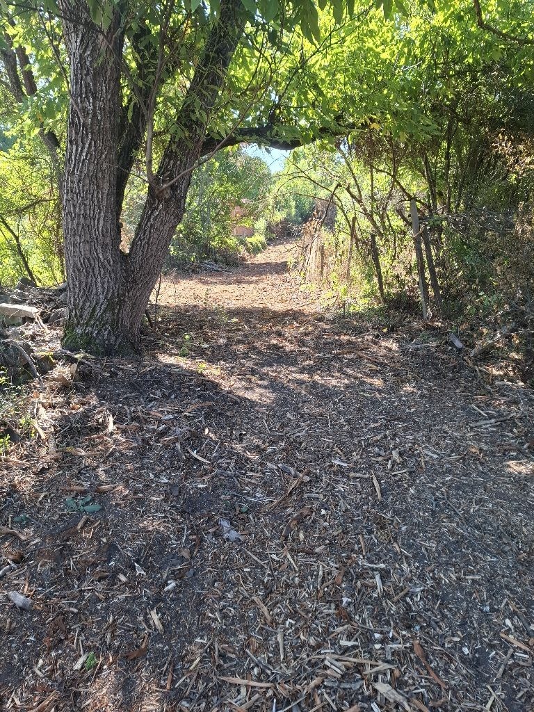 Продава ПАРЦЕЛ, с. Светля, област Перник, снимка 2 - Парцели - 53280360