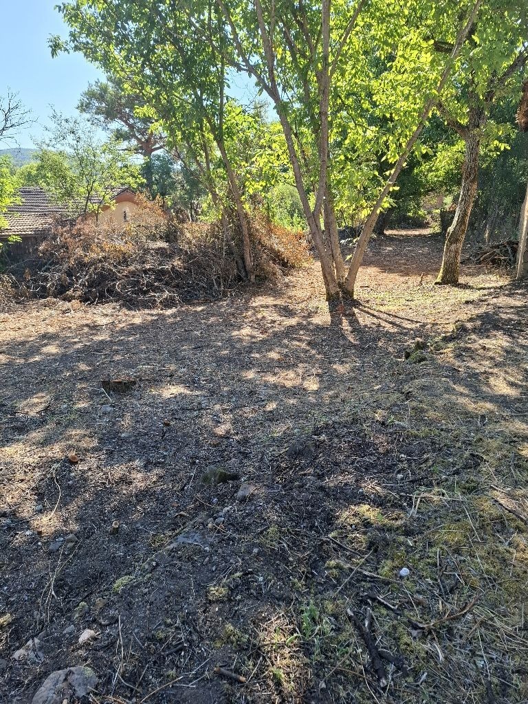 Продава ПАРЦЕЛ, с. Светля, област Перник, снимка 3 - Парцели - 53280360