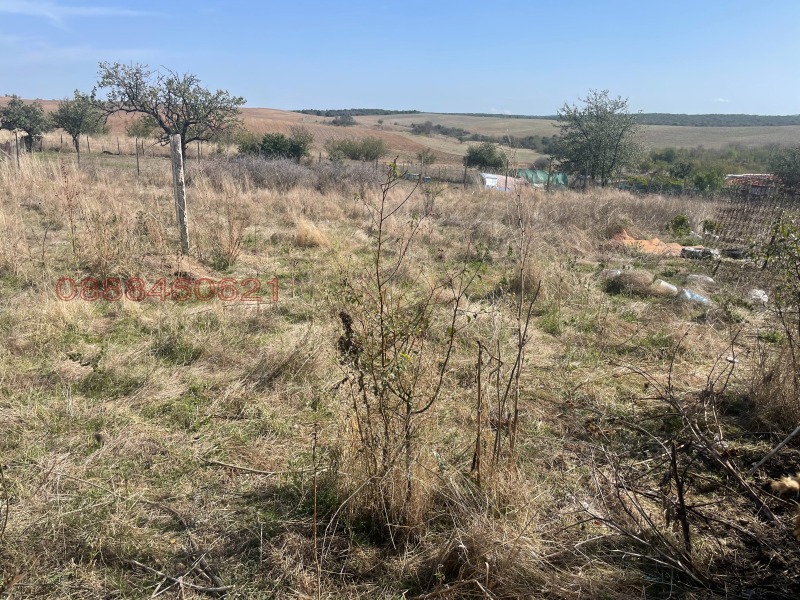 Продава КЪЩА, с. Свирково, област Хасково, снимка 6 - Къщи - 52788530