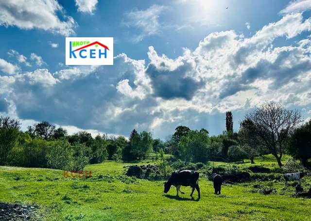 In vendita  Complotto regione Targovishte , Buhovtsi , 700 mq | 87250803
