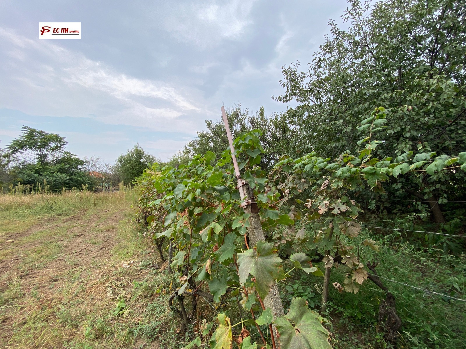 Продава КЪЩА, гр. Две могили, област Русе, снимка 13 - Къщи - 54285878