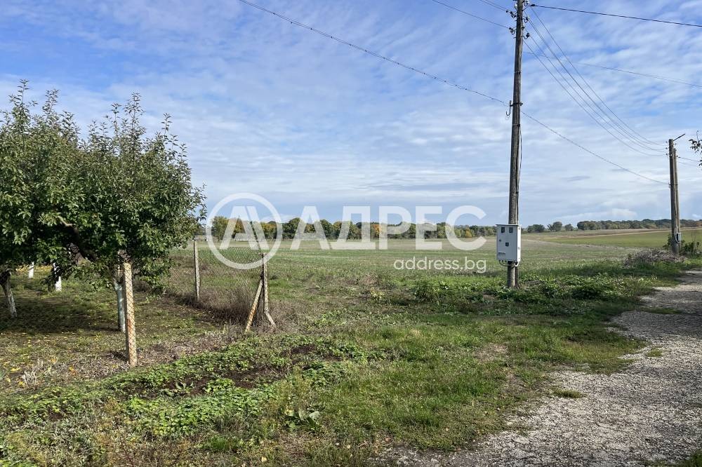 Продава КЪЩА, с. Дропла, област Добрич, снимка 2 - Къщи - 54558086