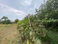 Продава КЪЩА, гр. Две могили, област Русе, снимка 13