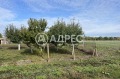 Продава КЪЩА, с. Дропла, област Добрич, снимка 5