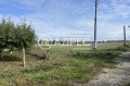 Продава КЪЩА, с. Дропла, област Добрич, снимка 2