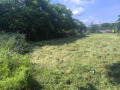 Продава ПАРЦЕЛ, с. Цалапица, област Пловдив, снимка 5