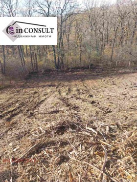 ������� ������ | Imot.bg � ����� ������ 9