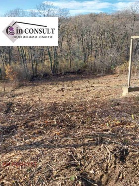 ������� ������ | Imot.bg � ����� ������ 5