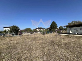 ����� ������� ������,�. �����������, ������ �����