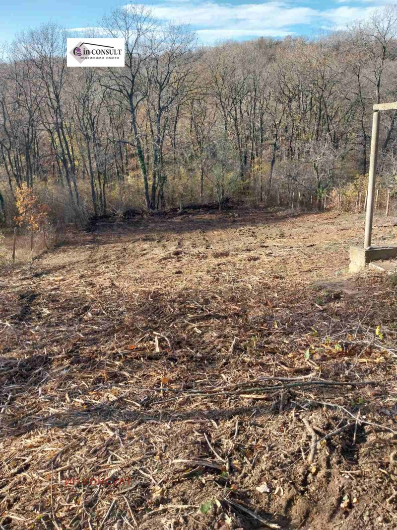 Продава ПАРЦЕЛ, гр. Варна, м-т Боровец - юг, снимка 5 - Парцели - 52598668