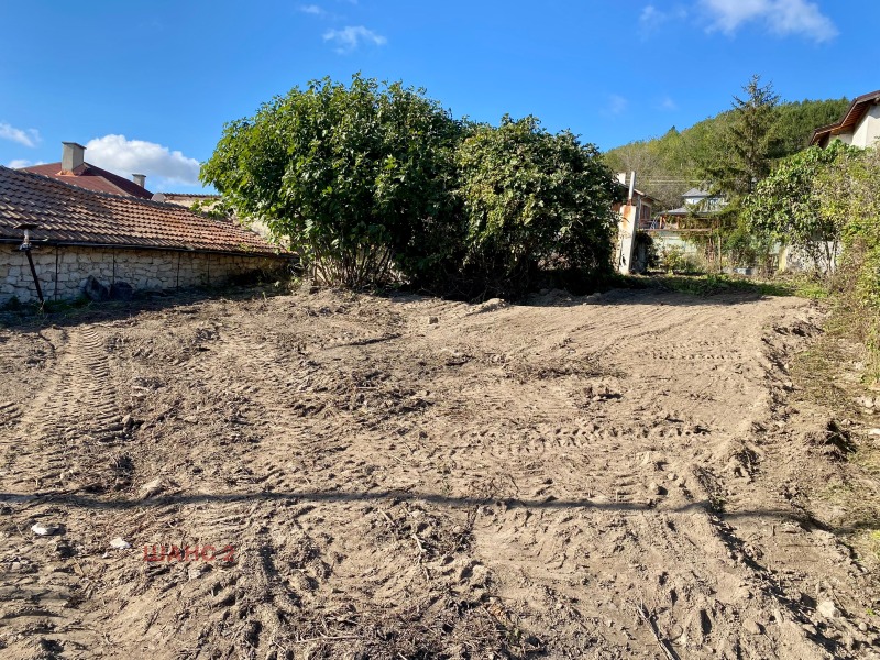 Продава ПАРЦЕЛ, с. Рогачево, област Добрич, снимка 2 - Парцели - 52611506