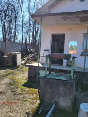 ������ ������� ����