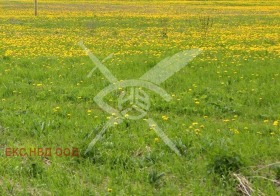 Сюжет Оризари, область Пловдив