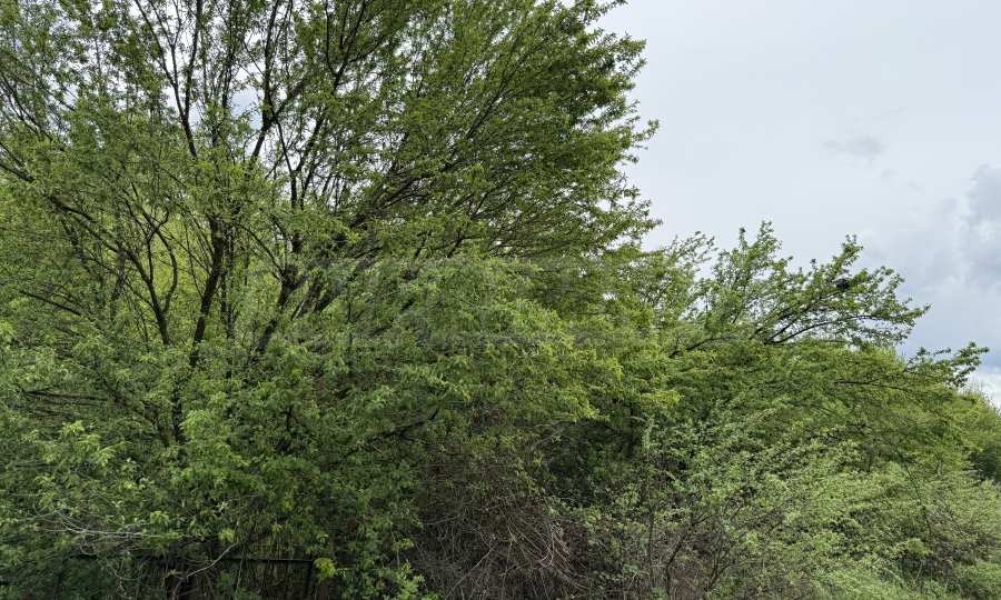 Продава ПАРЦЕЛ | Imot.bg — изображение 2