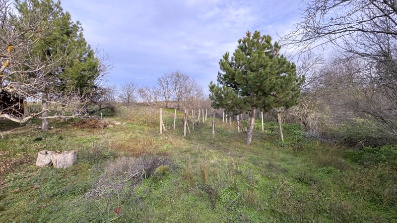 Продава КЪЩА, с. Верен, област Стара Загора, снимка 15 - Къщи - 52573311