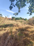 Продава ПАРЦЕЛ, с. Неофит Рилски, област Варна, снимка 2