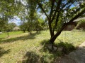 Продава КЪЩА, област Враца, с. Долна Кремена • 78500 лв. / 40136.41 € • 37531016 7