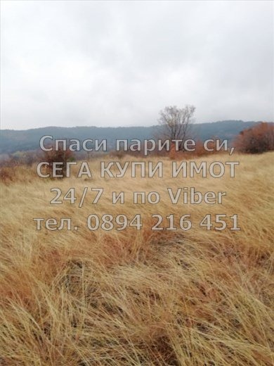 ������� ������ | Imot.bg � ����������� 4