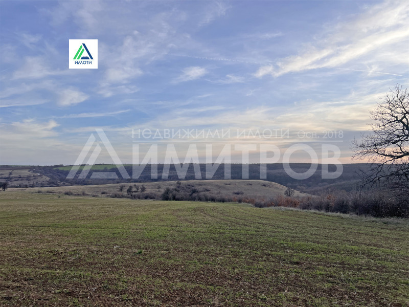 Продава ПАРЦЕЛ в област Шумен, гр. Нови пазар - 5000 кв.м / 20 000 € » 39 116.60 лв., ДИМИТРОВ ИМОТИ