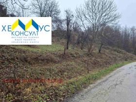 ����� ������� ������,��. �������, ������ �����