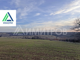 ����� ������� ������,��. ���� �����, ������ �����