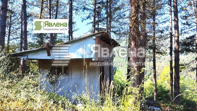 ������� ������ | Imot.bg � ����������� 3