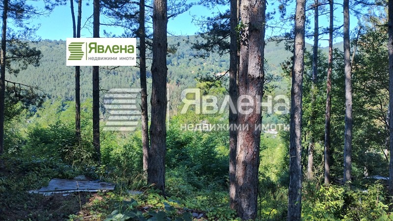 ������� ������ | Imot.bg � ����������� 8