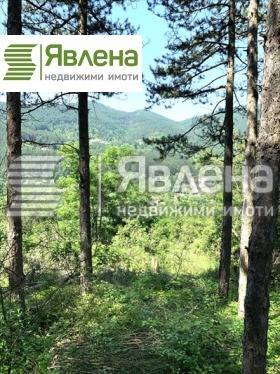 ������� ������ | Imot.bg � ����� ������ 2