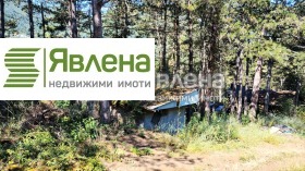 ����� ������� ������,�. ����� �������, ������ �����