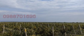   | Imot.bg    11