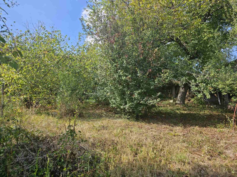 For Sale  Plot Gabrovo , Belentsi , 685 sq.m | 86191949 - image [6]