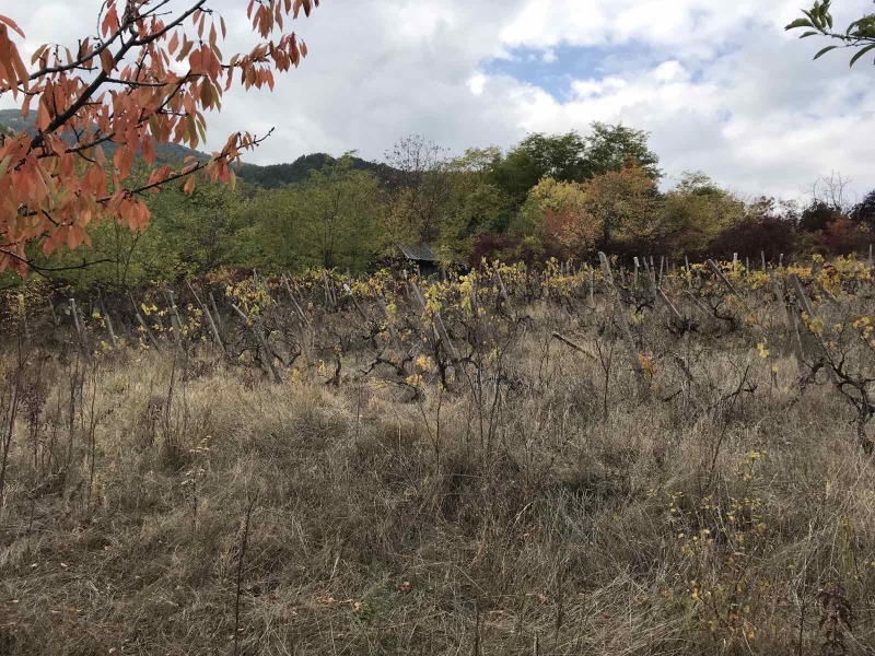 Til salgs  Land region Plovdiv , Asenovgrad , 1.93 dka | 32748995 - bilde [3]