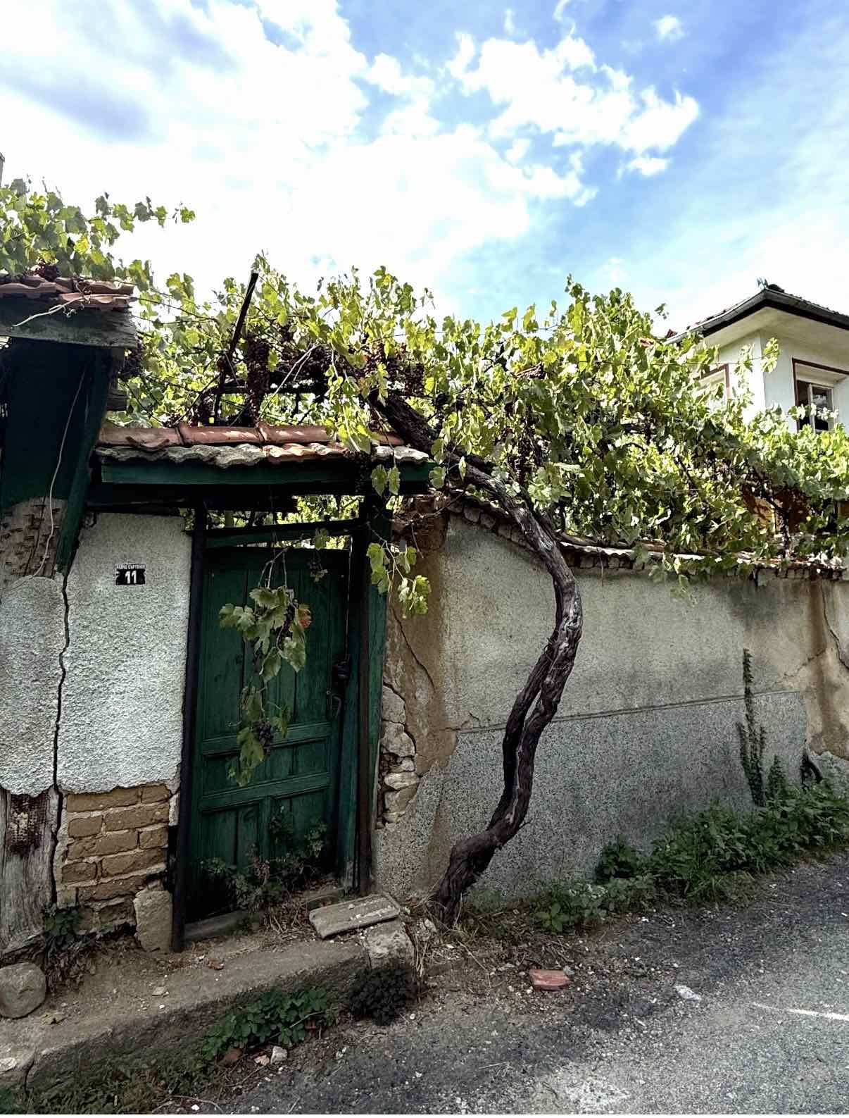 ������� ���� | Imot.bg � ����������� 8