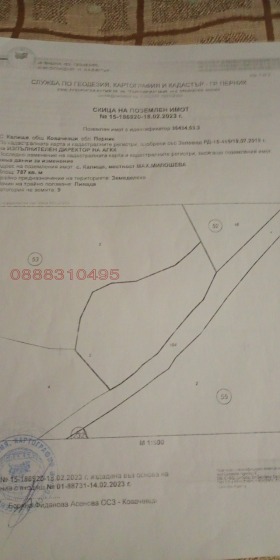 ����� ������� ������,�. ������, ������ ������