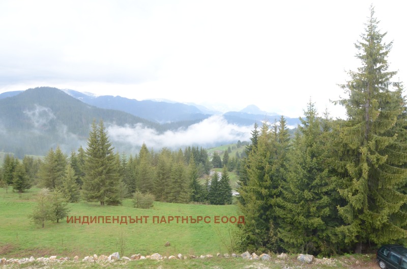 Продава 1-СТАЕН, к.к. Пампорово, област Смолян, снимка 4 - Апартаменти - 53029115