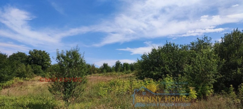 For Sale  Plot region Veliko Tarnovo , Shemshevo , 3479 sq.m | 57384011 - image [2]