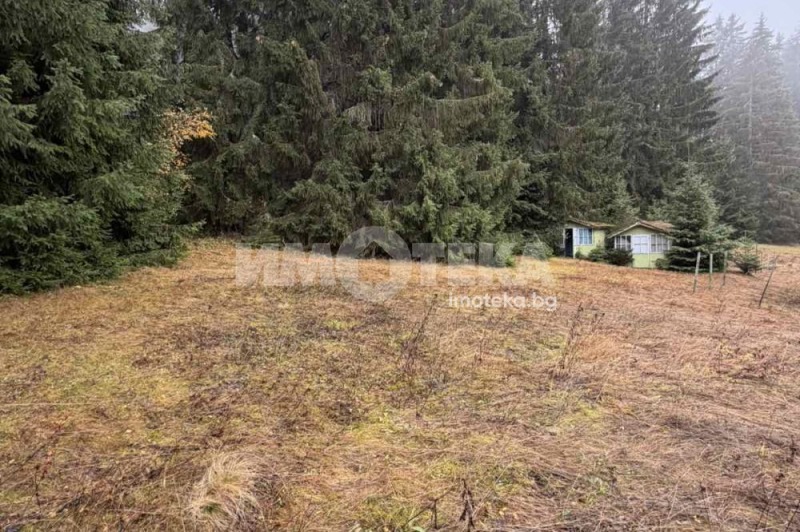 Zu verkaufen  Handlung region Sofia , Gowedarzi , 1503 qm | 87226985 - Bild [5]