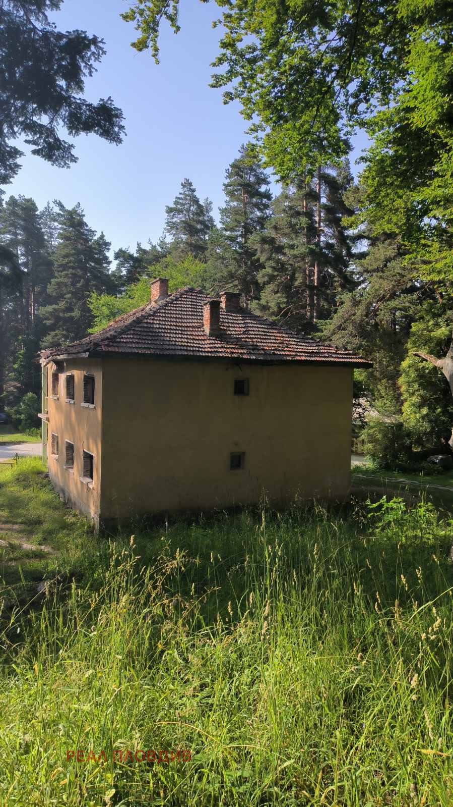Продава ВИЛА, гр. Пещера, област Пазарджик, снимка 4 - Вили - 55206401